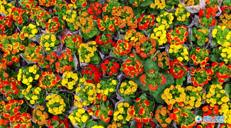 15562466_980x1200_0.jpg