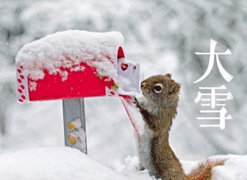 图片3.jpg